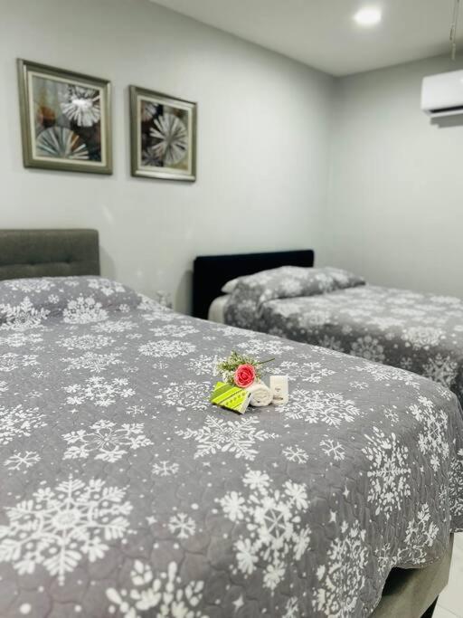 Grey Novo Studio + Free-Parking&Wifi Tampa Dış mekan fotoğraf