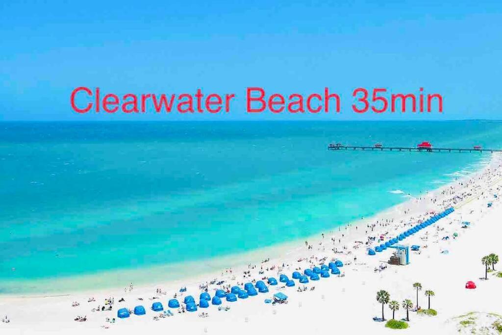 Grey Novo Studio + Free-Parking&Wifi Tampa Dış mekan fotoğraf