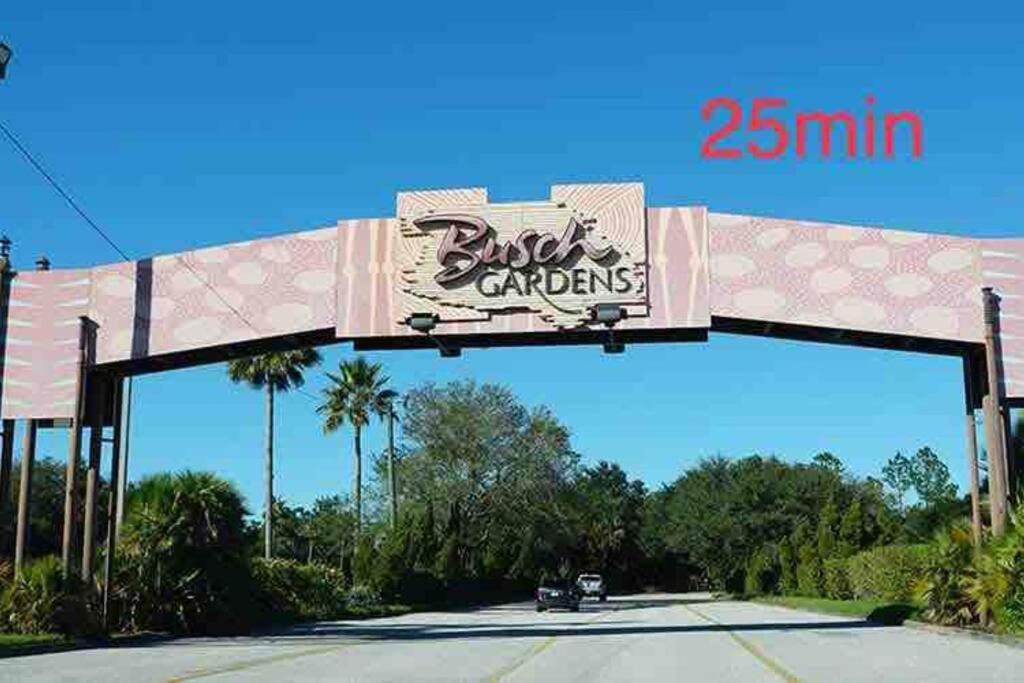 Grey Novo Studio + Free-Parking&Wifi Tampa Dış mekan fotoğraf