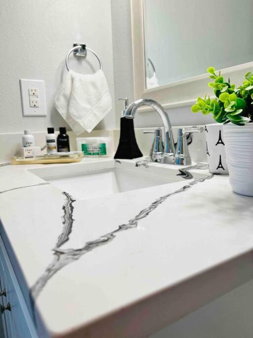 Grey Novo Studio + Free-Parking&Wifi Tampa Dış mekan fotoğraf