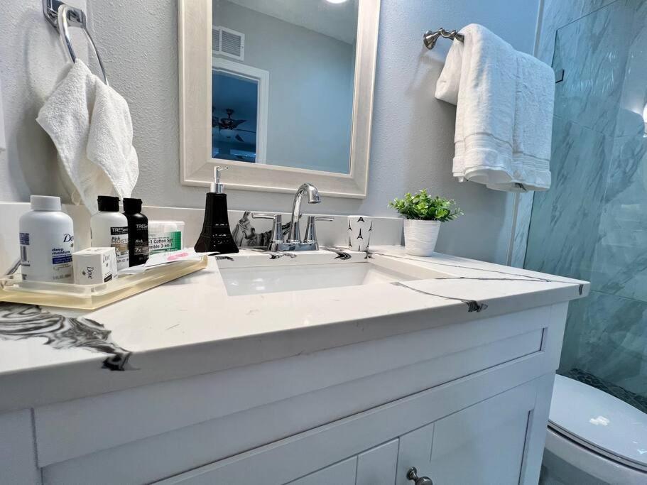 Grey Novo Studio + Free-Parking&Wifi Tampa Dış mekan fotoğraf